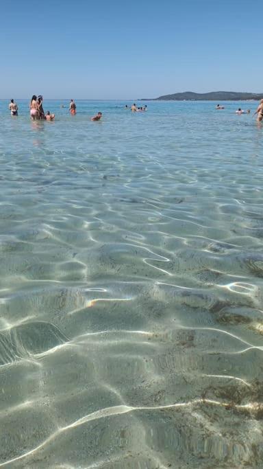 Casa Vacanze Sos Flores Алгеро Екстериор снимка